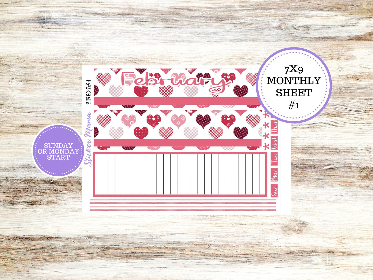 ERIN CONDREN Monthly Kit-3119 || 7X9 ||  - 7x9 ec FEBRUARY Monthly Kit - February Monthly Planner Kits -  Monthly Pages || 10-25