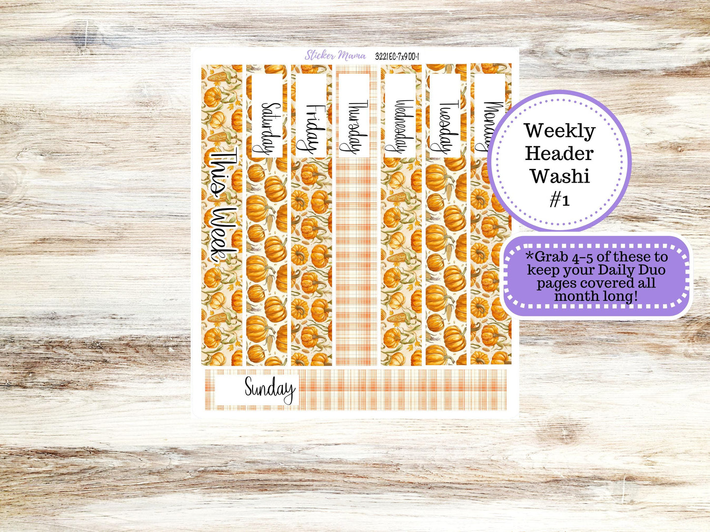 Erin Condren Daily Duo Planner Kit DD 3221 | Pumpkin & Cornstalks | Full Month Kit