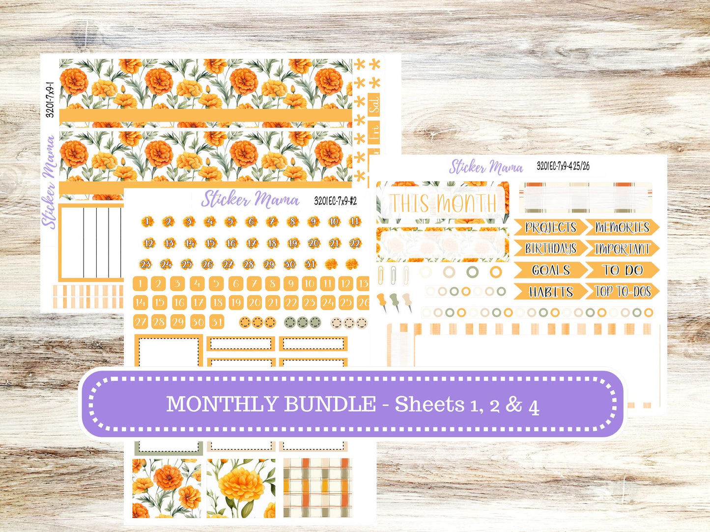 Erin Condren 7x9 Monthly Planner Sticker Kit | 3201 Fall Colors | Undated Choose your Own Month | 4-26