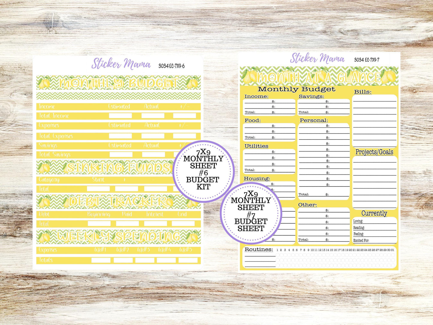 ERIN CONDREN Monthly Kit-3034 || 7X9 || Fresh Squeeze - 7x9 ec March Monthly Kit - Month of your Choice Monthly Planner Kits || 11-25