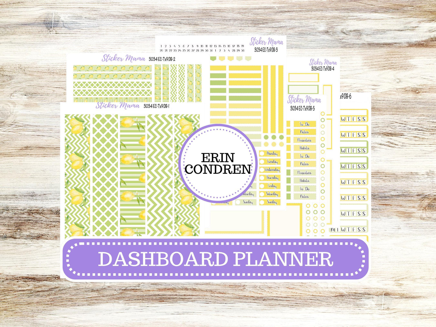 ERIN CONDREN Dashboard Planner Kit DB-3034 || Fresh Squeeze || Dashboard Planner Sticker Kit || Erin Condren ||