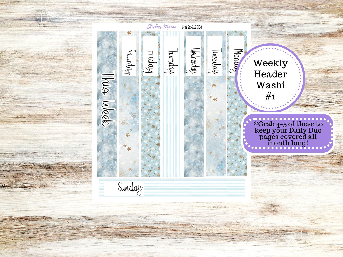 ERIN CONDREN Daily Duo Planner Kit DD-3118 || January || Daily Duo Planner Sticker Kit || Erin Condren ||