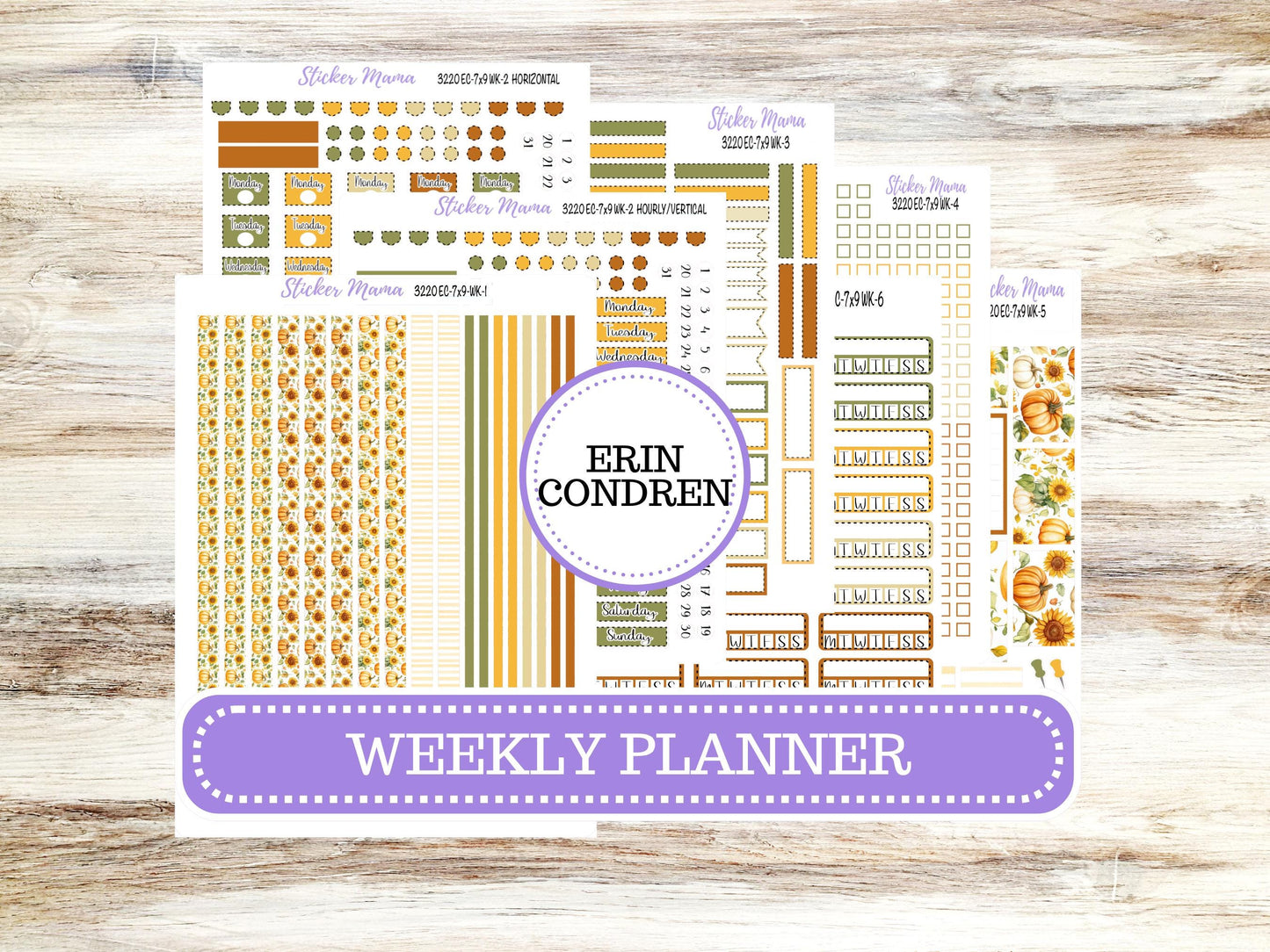 Erin Condren Weekly Planner Kit WK-3220 | Falling Colors