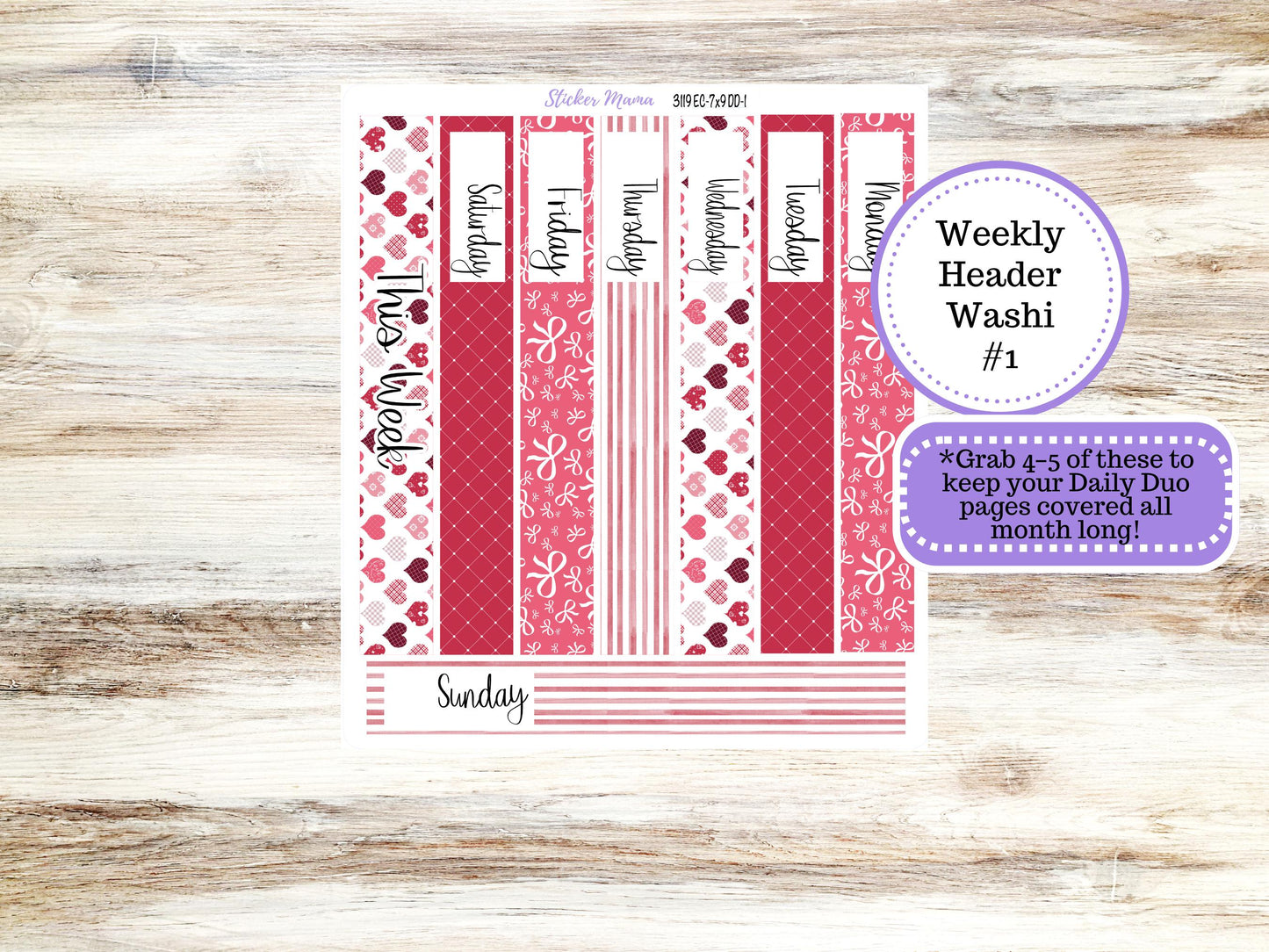ERIN CONDREN Daily Duo Planner Kit DD-3119 || February || Daily Duo Planner Sticker Kit || Erin Condren ||