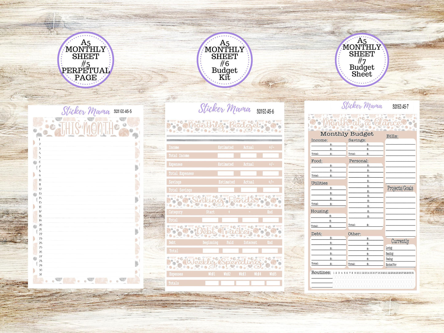 ERIN CONDRE Monthly Kit-3211 || A5 || Patel Wonderland Stickers  || - ec January Monthly Kit - Monthly Planner Kits - Monthly Budget