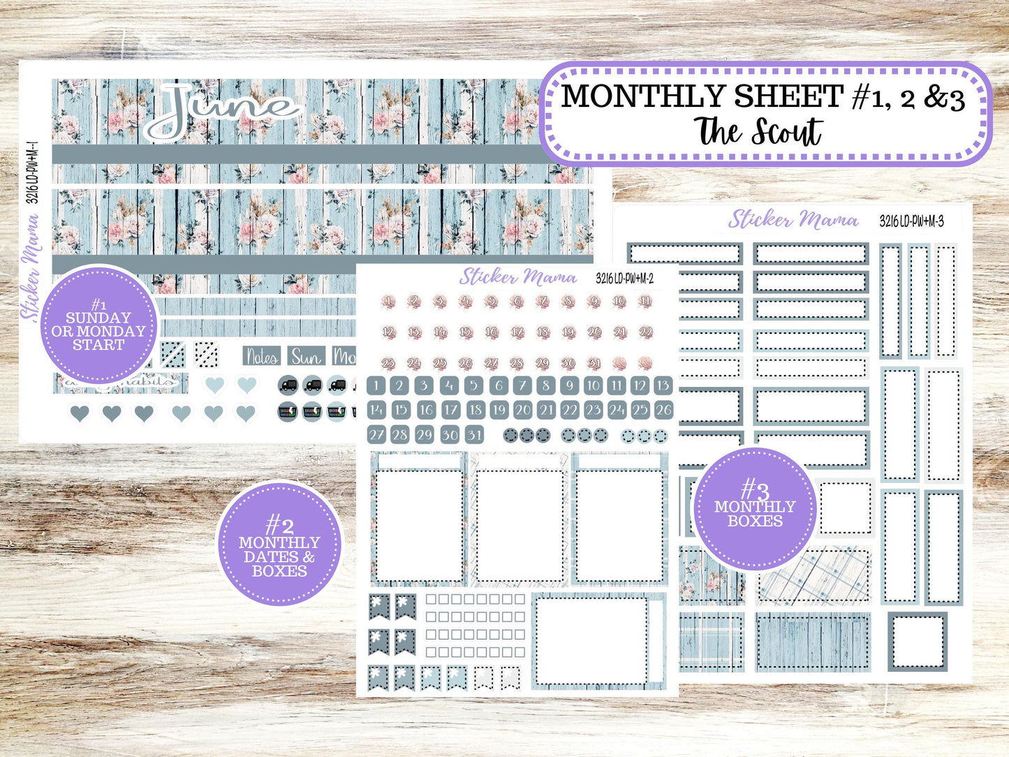 Laurel Denise Large Scout Planner Sticker Kit | Portrait Weekly + Monthly | June Chic Roses #3216 | 3-26