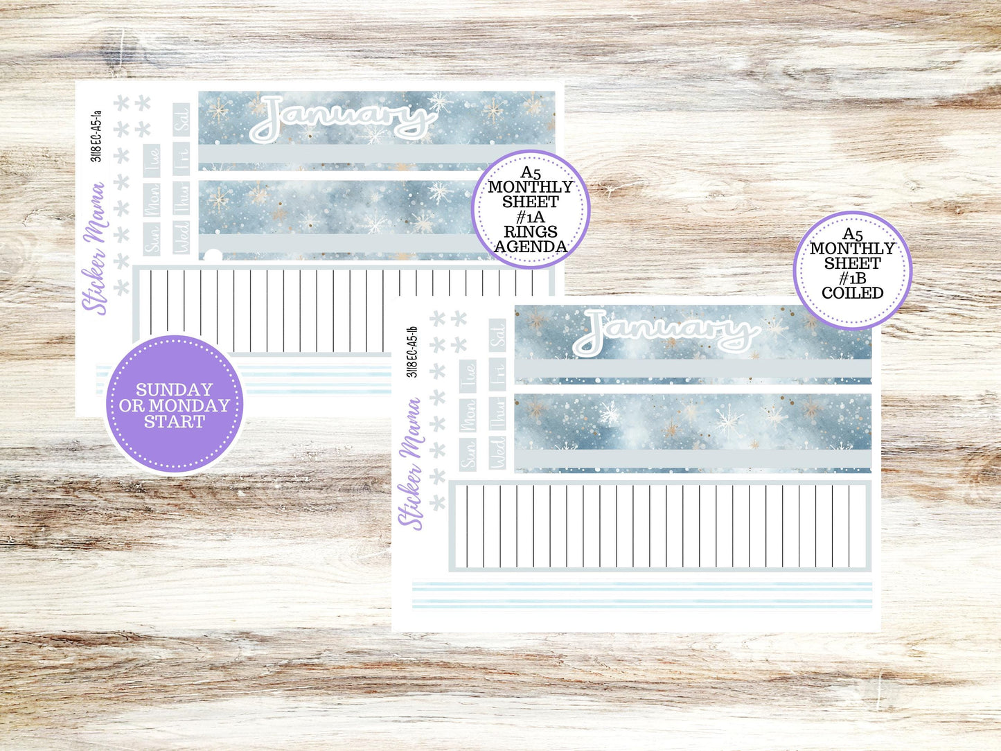 ERIN CONDRE Monthly Kit-3118 || A5 || EC A5 Stickers  || - ec January Monthly Kit - Monthly Planner Kits - Monthly Budget