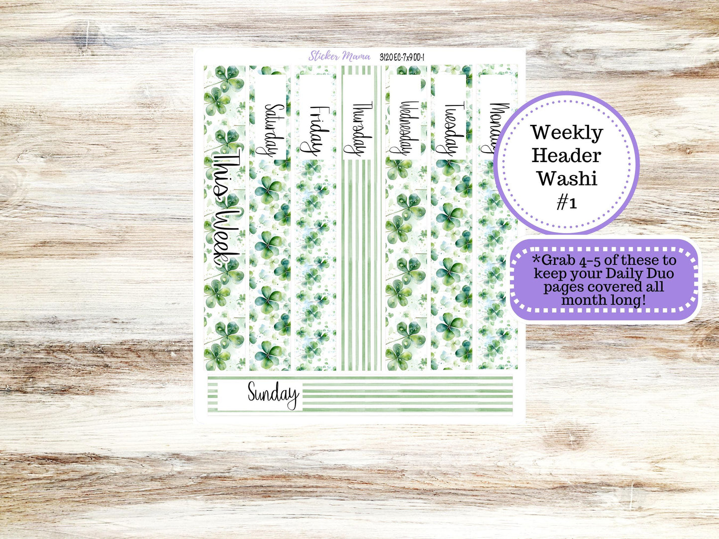 ERIN CONDREN Daily Duo Planner Kit DD-3120 || March - Shamrock Magic || Daily Duo Planner Sticker Kit || Erin Condren ||