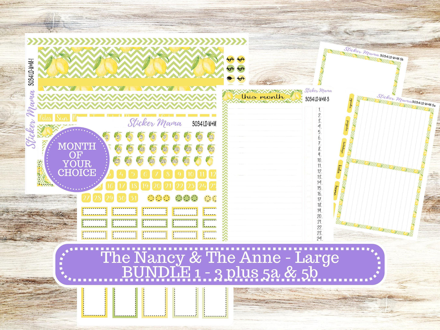 LD “The Nancy & Anne” Large || Week + Month PLANNER Monthly Kit #3034 || Horizontal Vertical Kit || Fresh Squeeze || 11-25