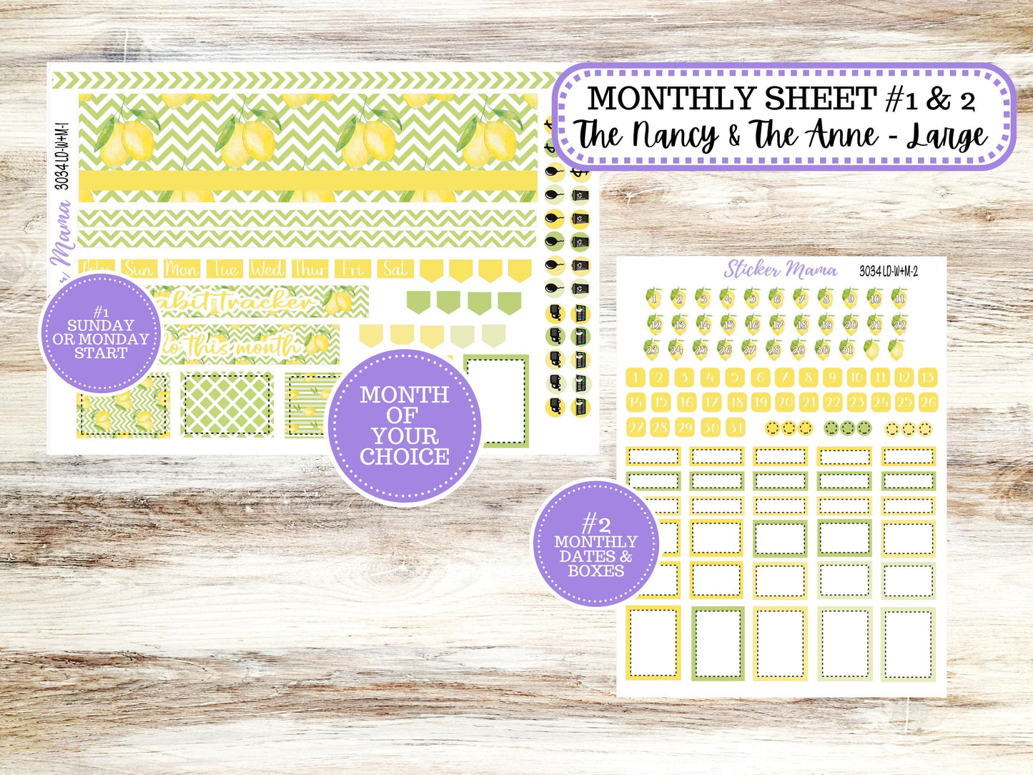 LD “The Nancy & Anne” Large || Week + Month PLANNER Monthly Kit #3034 || Horizontal Vertical Kit || Fresh Squeeze || 11-25