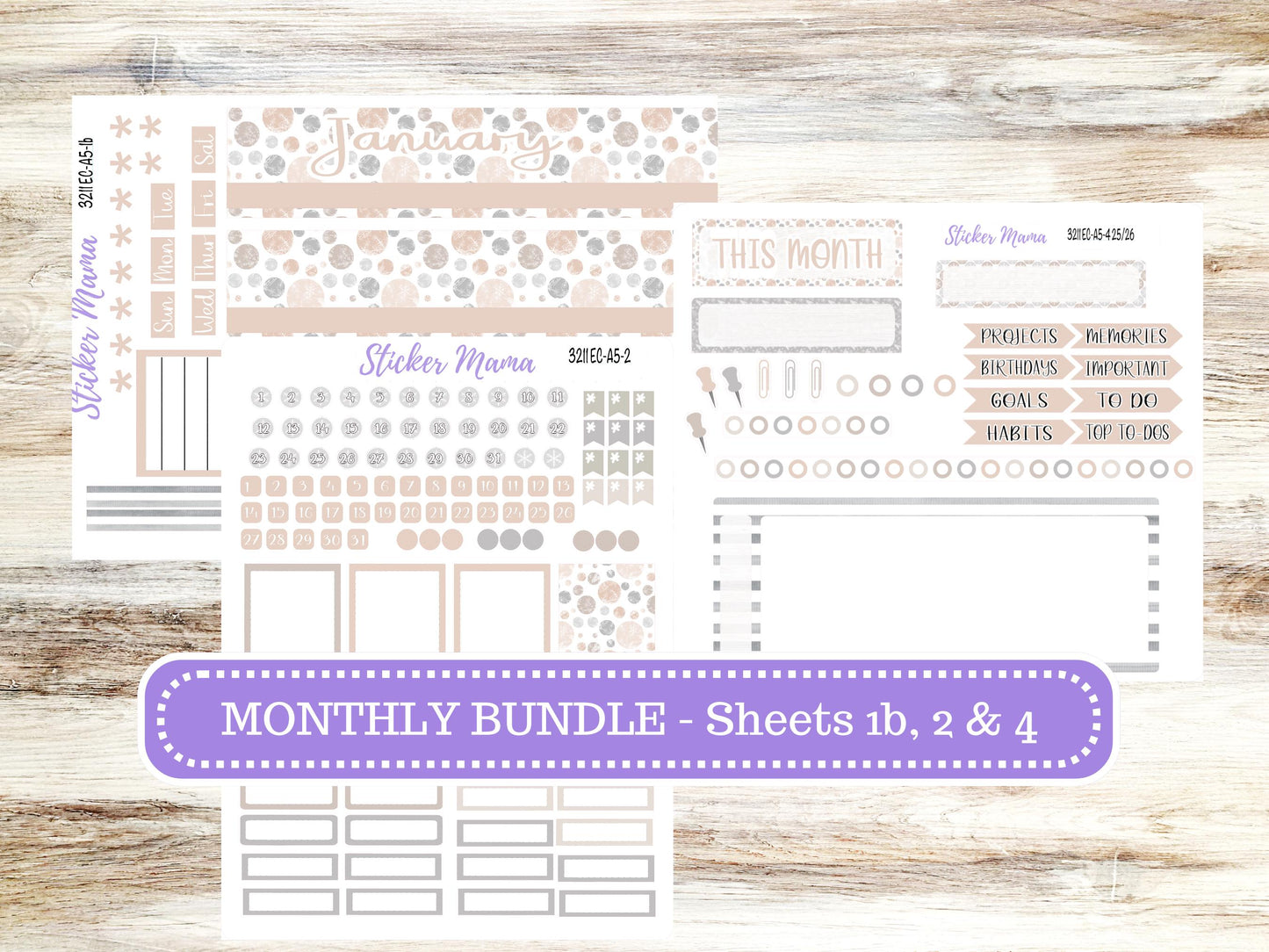 ERIN CONDRE Monthly Kit-3211 || A5 || Patel Wonderland Stickers  || - ec January Monthly Kit - Monthly Planner Kits - Monthly Budget