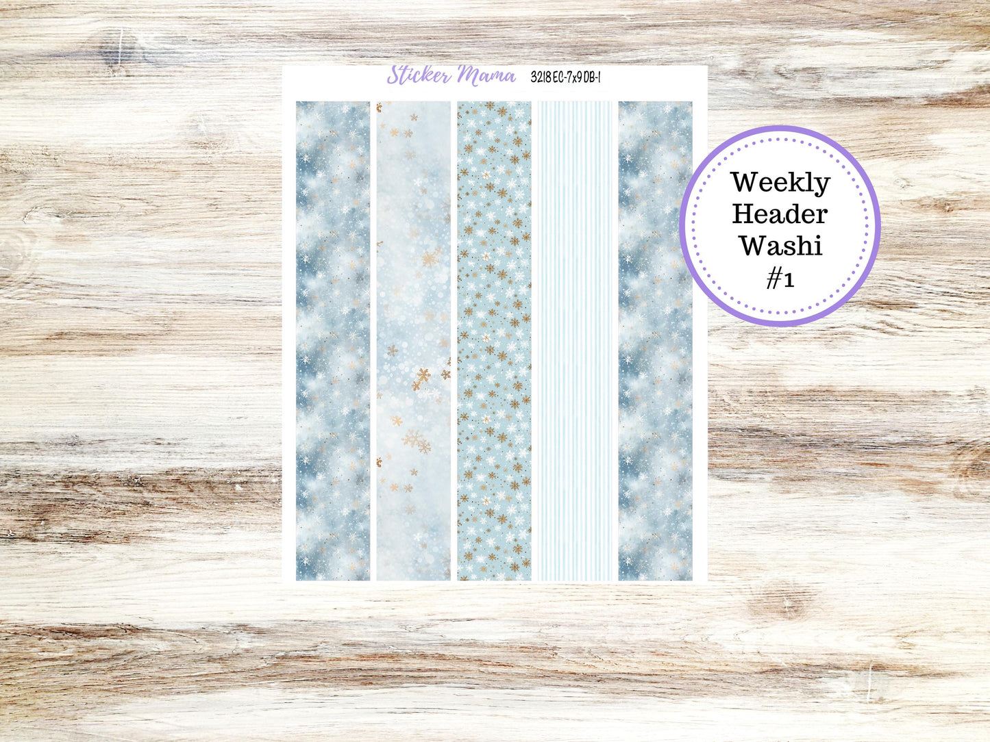 ERIN CONDREN Dashboard Planner Kit DB-3118 || January || Dashboard Planner Sticker Kit || Erin Condren ||