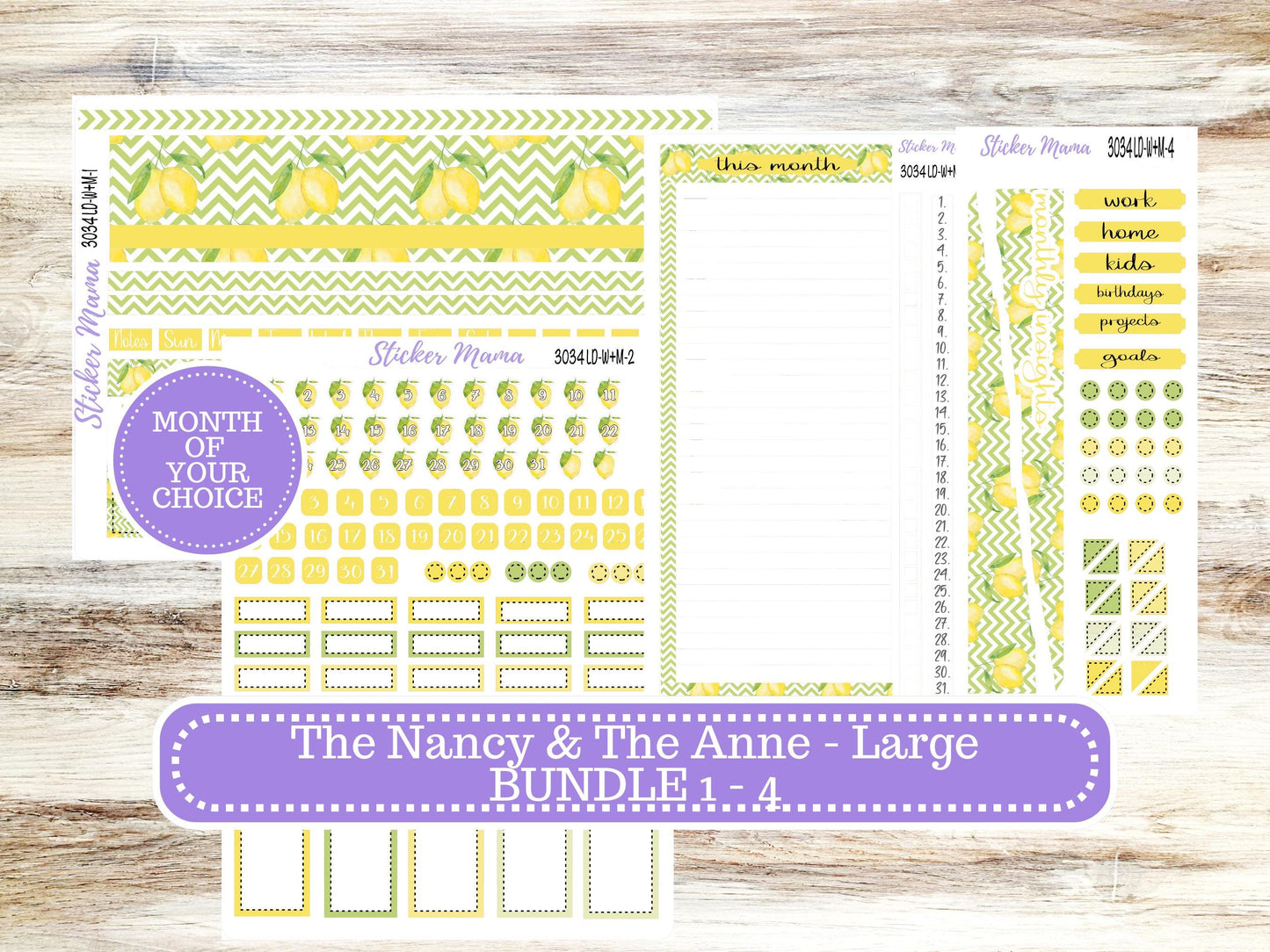 LD “The Nancy & Anne” Large || Week + Month PLANNER Monthly Kit #3034 || Horizontal Vertical Kit || Fresh Squeeze || 11-25