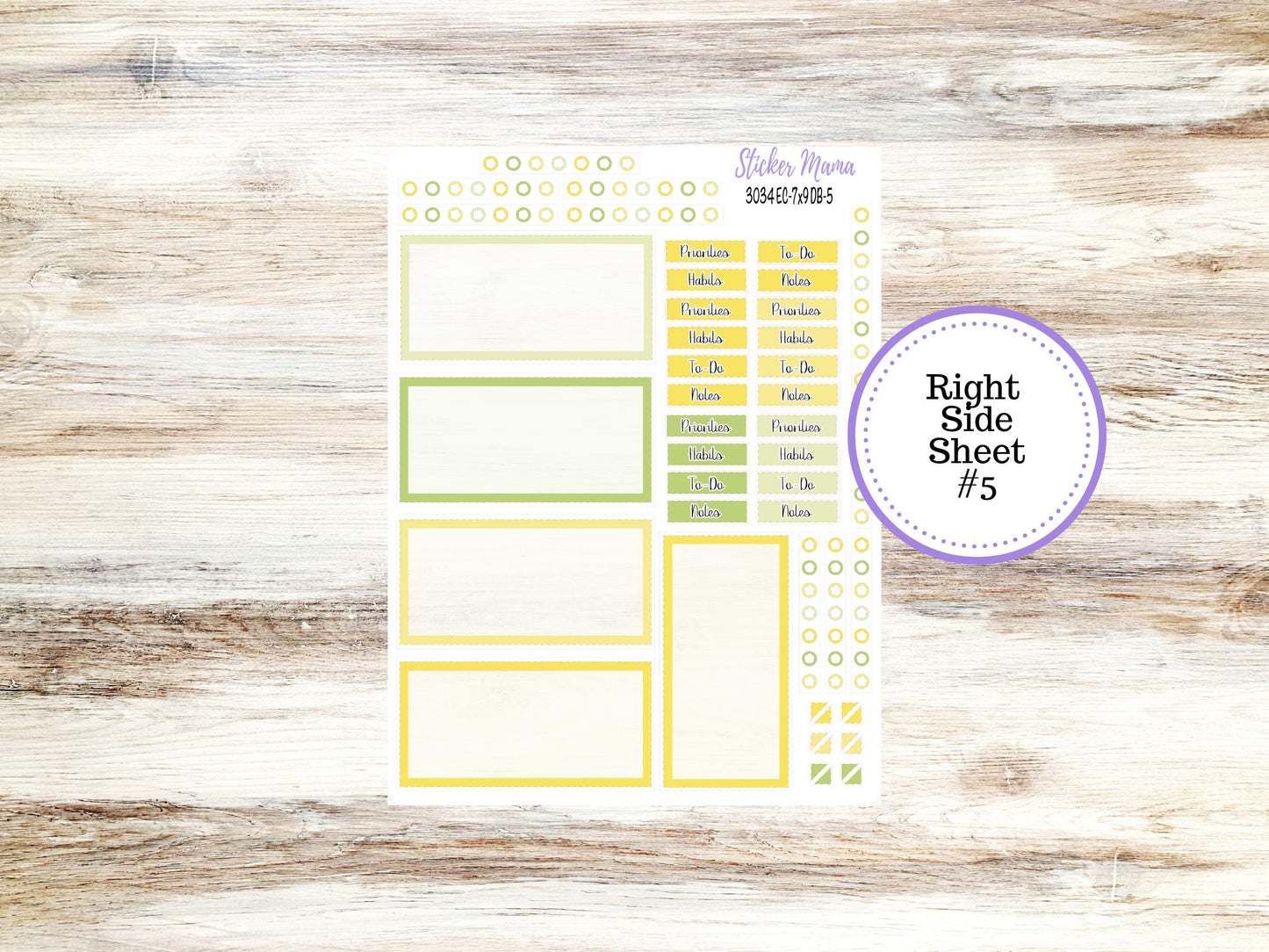 ERIN CONDREN Dashboard Planner Kit DB-3034 || Fresh Squeeze || Dashboard Planner Sticker Kit || Erin Condren ||