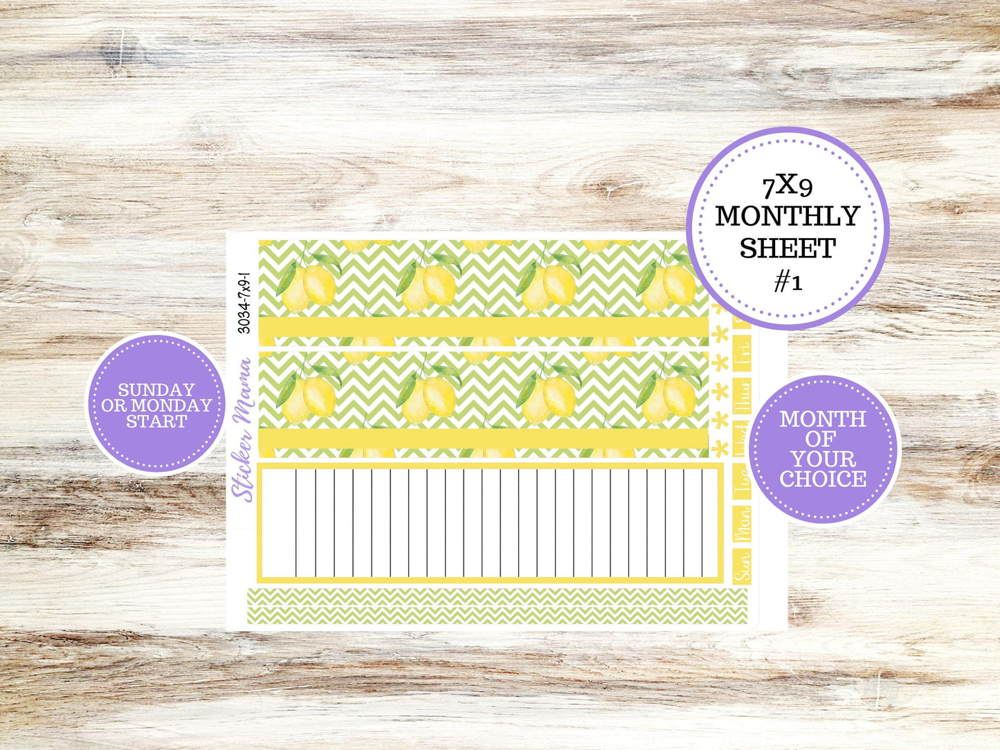 ERIN CONDREN Monthly Kit-3034 || 7X9 || Fresh Squeeze - 7x9 ec March Monthly Kit - Month of your Choice Monthly Planner Kits || 11-25