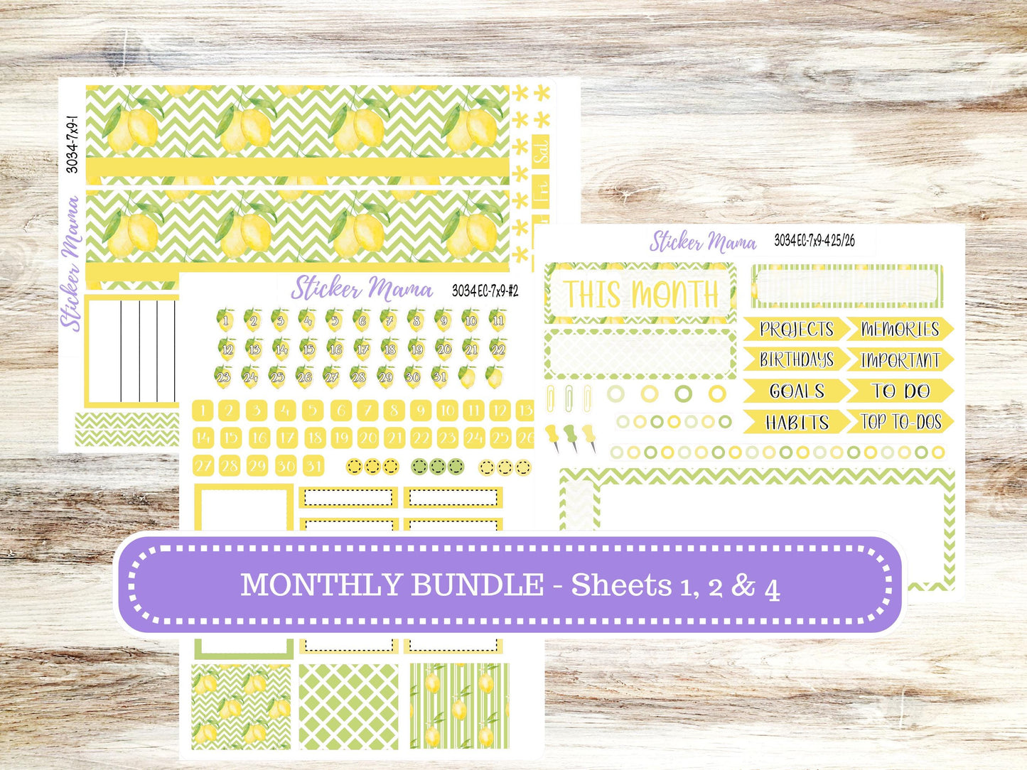 ERIN CONDREN Monthly Kit-3034 || 7X9 || Fresh Squeeze - 7x9 ec March Monthly Kit - Month of your Choice Monthly Planner Kits || 11-25