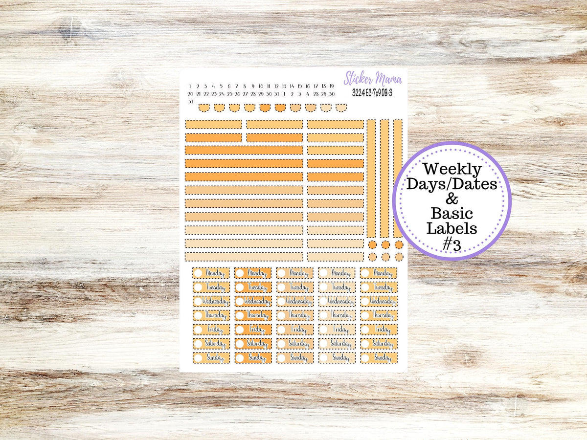 Erin Condren Dashboard Planner Kit DB | 3224 Fall Polka Dot
