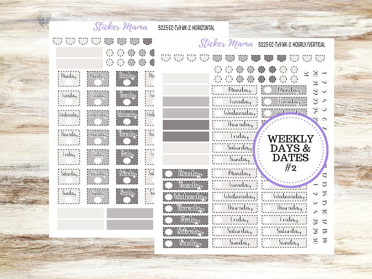 Erin Condren Weekly Planner Kit | WK 3225 Sleek Season