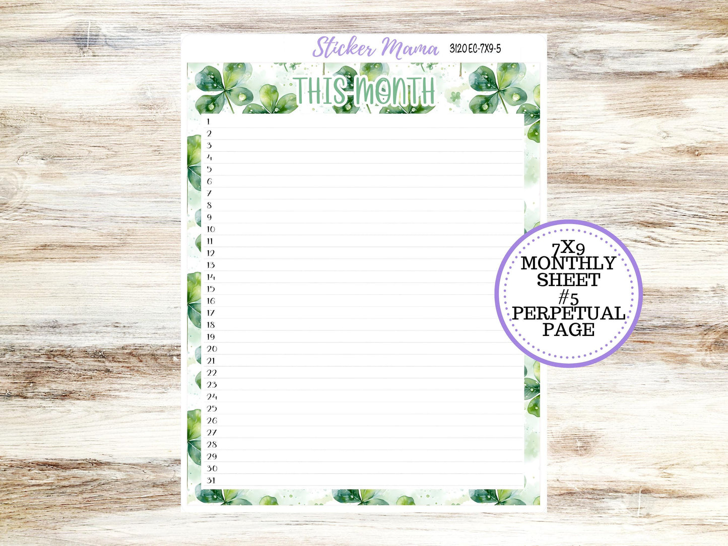 ERIN CONDREN Monthly Kit-3120 || 7X9 || Shamrock Magic - 7x9 ec March Monthly Kit - February Monthly Planner Kits -  Monthly Pages || 11-25