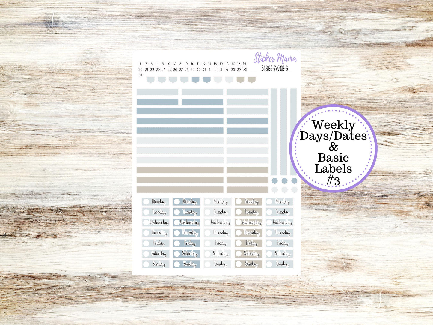 ERIN CONDREN Dashboard Planner Kit DB-3118 || January || Dashboard Planner Sticker Kit || Erin Condren ||