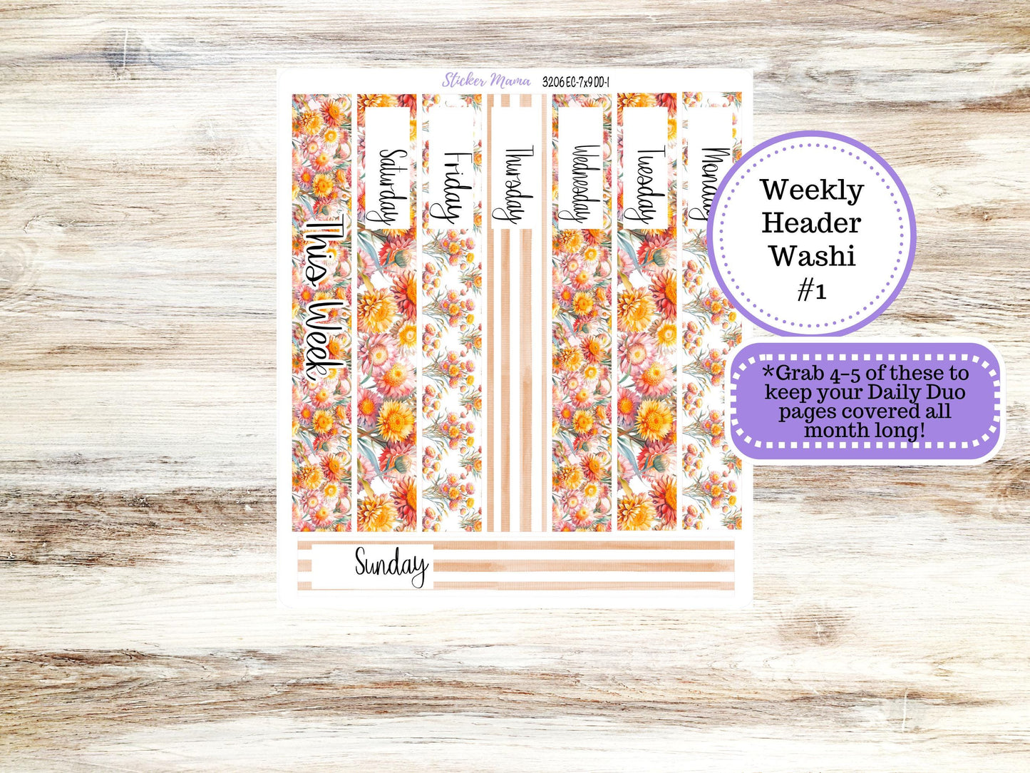 ERIN CONDREN Daily Duo Planner Kit DD-3206 || Falling Colors  || Daily Duo Planner Sticker Kit || Erin Condren ||