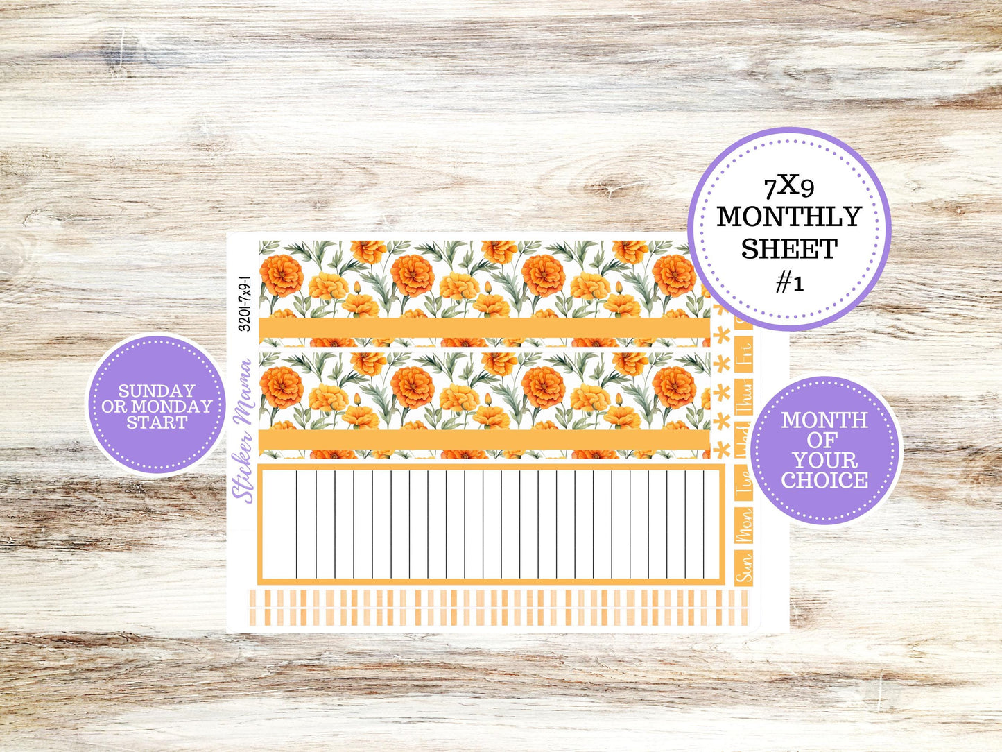 Erin Condren 7x9 Monthly Planner Sticker Kit | 3201 Fall Colors | Undated Choose your Own Month | 4-26