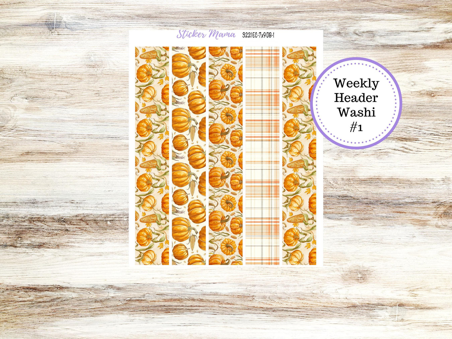 Erin Condren Dashboard Planner Sticker Kit | DB 3221 Pumpkin & Cornstalks