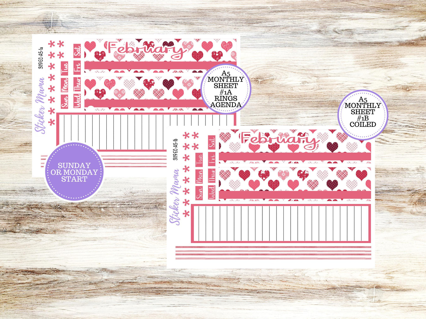 ERIN CONDRE Monthly Kit-3119 || A5 || EC A5 Stickers  || - ec FebruaryMonthly Kit - Monthly Planner Kits - Monthly Budget