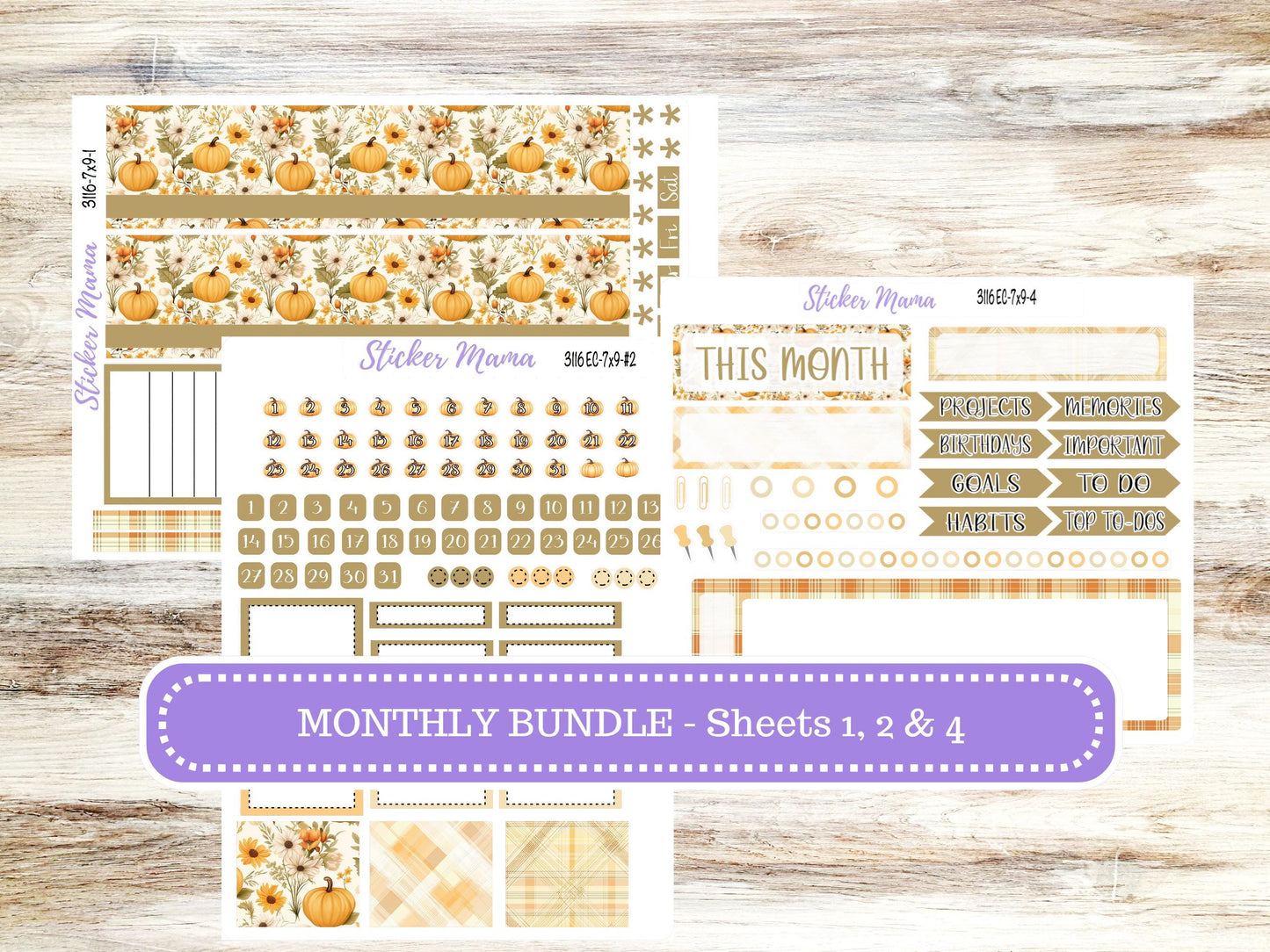 Erin Condren Monthly Kit 7X9 | 3116 Pumpkin Spice | Undated Choose Your Month | Fall