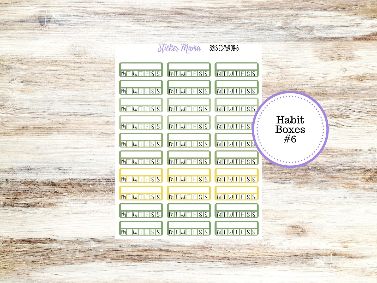 ERIN CONDREN Dashboard Planner Kit DB-3213 || March - Lucky Blossom || Dashboard Planner Sticker Kit || Erin Condren ||