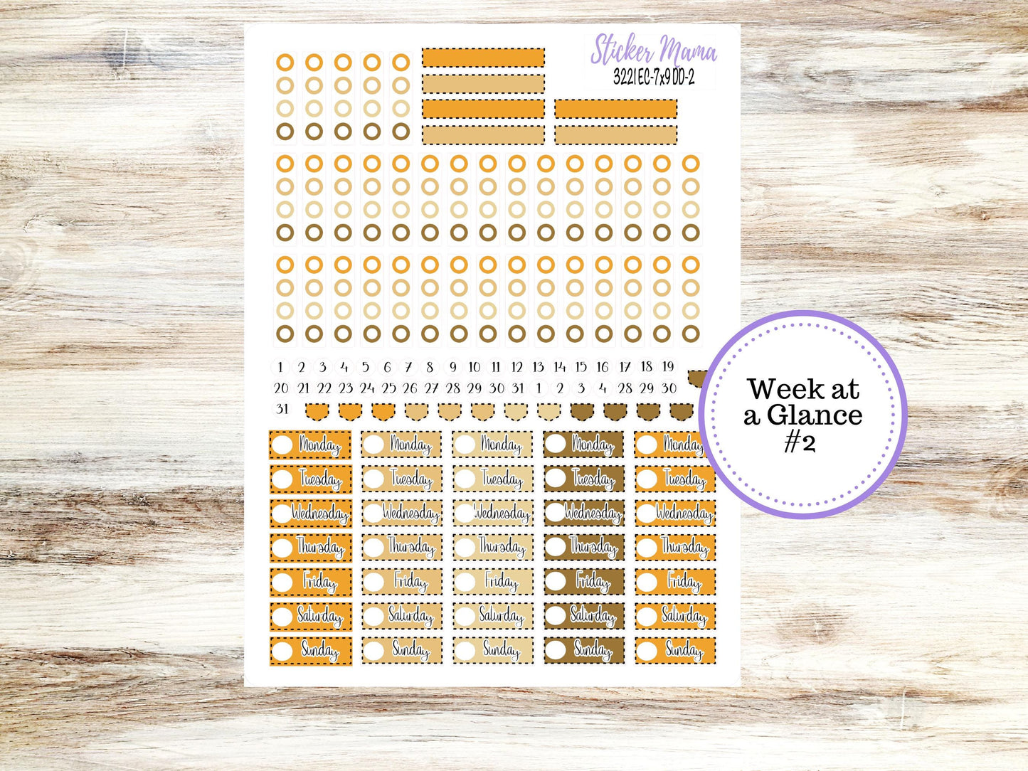 Erin Condren Daily Duo Planner Kit DD 3221 | Pumpkin & Cornstalks | Full Month Kit