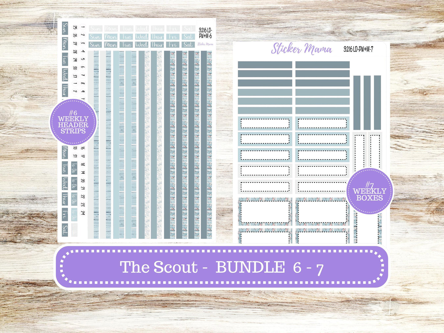Laurel Denise Large Scout Planner Sticker Kit | Portrait Weekly + Monthly | June Chic Roses #3216 | 3-26