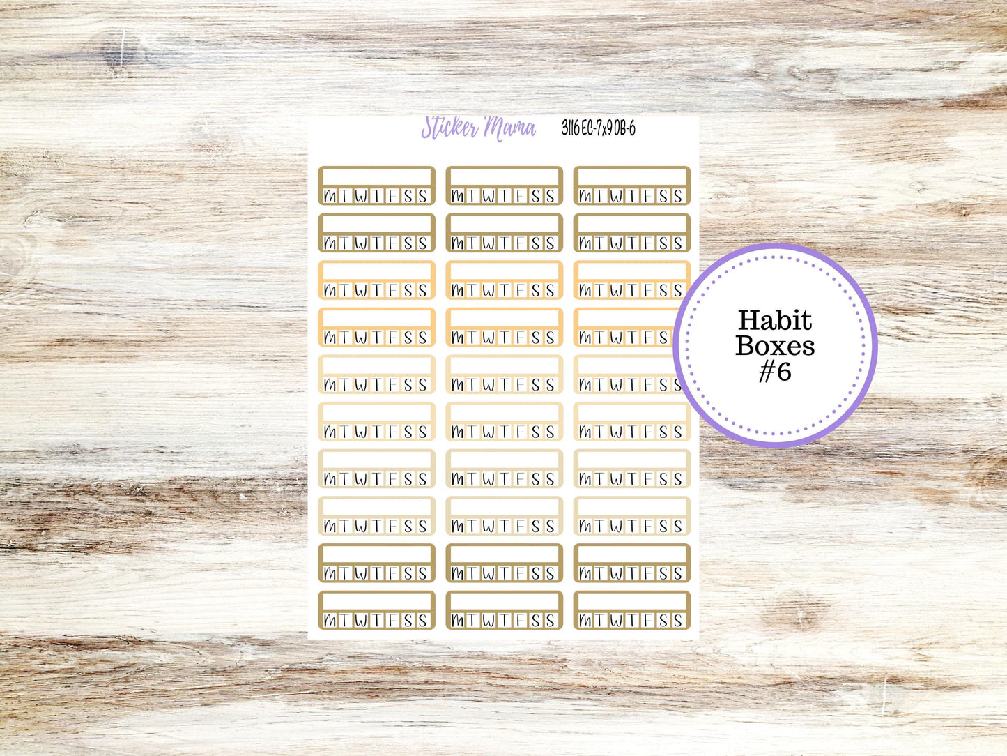 Erin Condren Dashboard Planner Kit DB | 3116 Pumpkin Spice