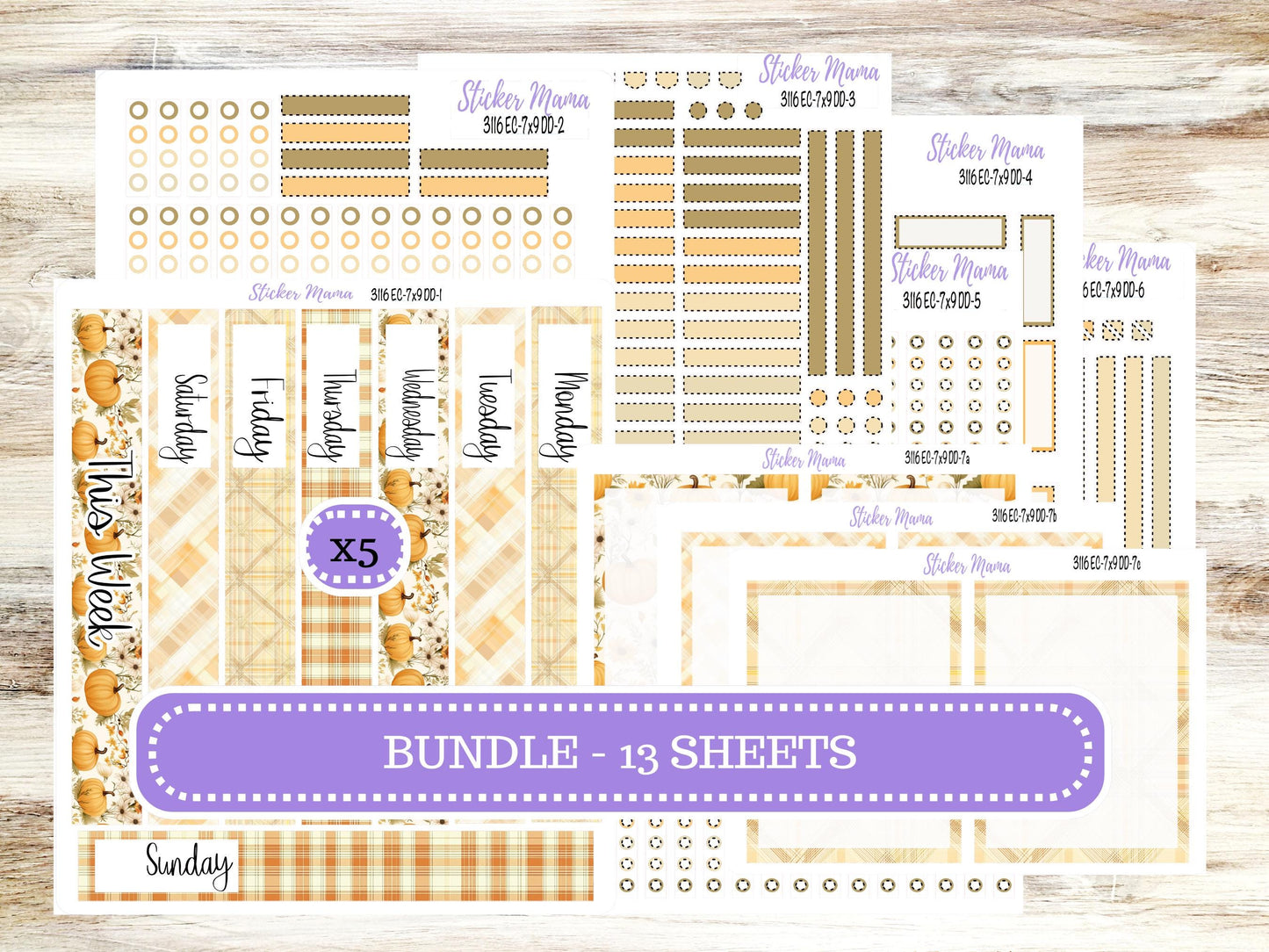 Erin Condren Daily Duo Planner Sticker Kit | 3116 Pumpkin Spice