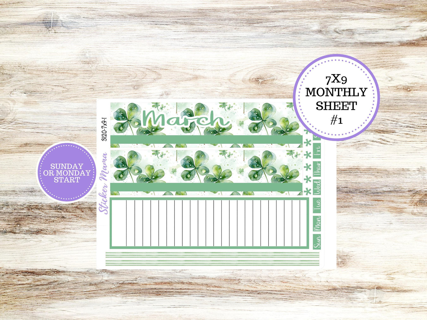ERIN CONDREN Monthly Kit-3120 || 7X9 || Shamrock Magic - 7x9 ec March Monthly Kit - February Monthly Planner Kits -  Monthly Pages || 11-25