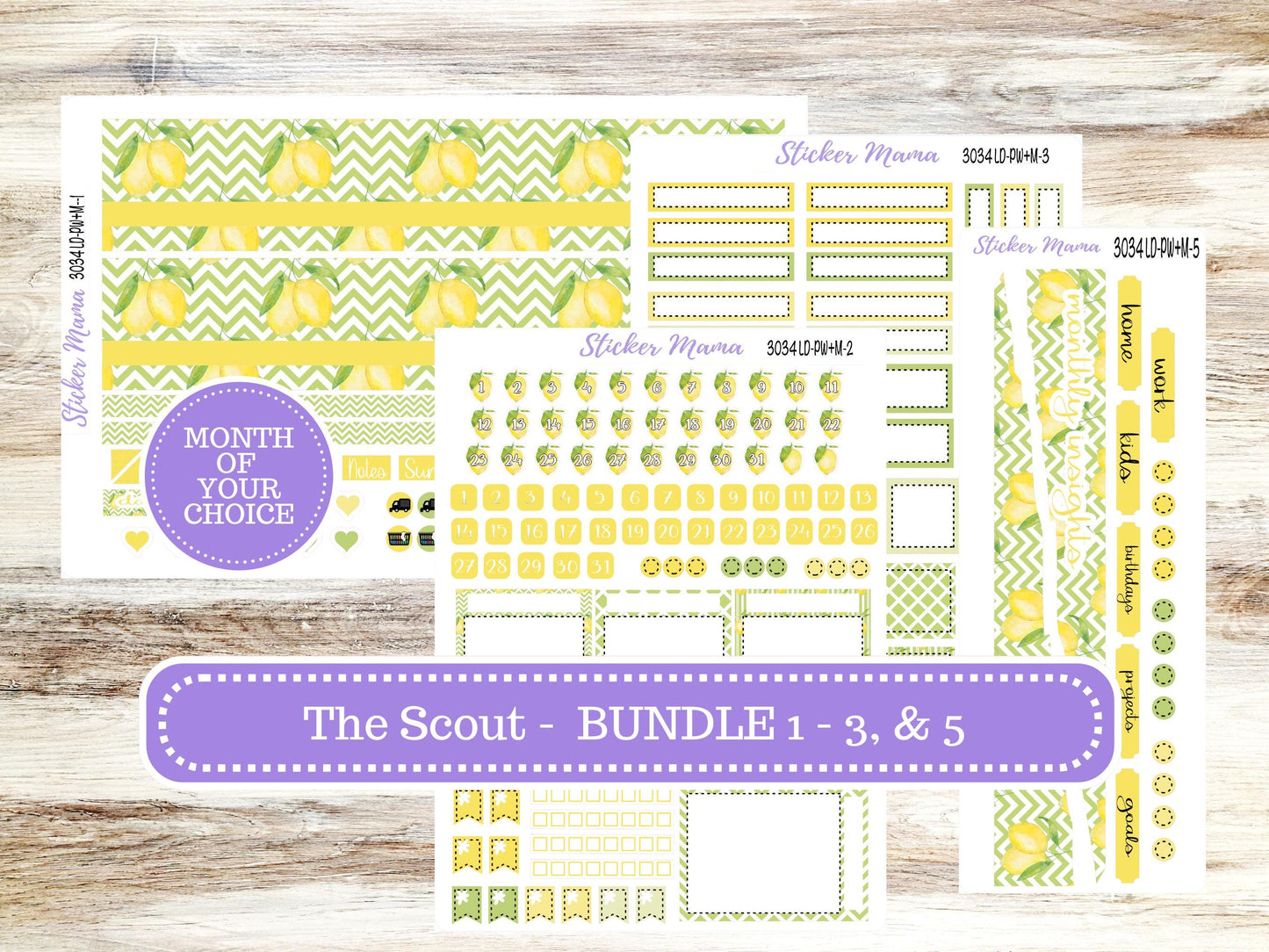 LD Large "The Scout" || PORTRAIT Weekly + Monthly Planner Kit #3034 || Fresh Squeeze || Laurel Denise Kit Portrait  || 11-25