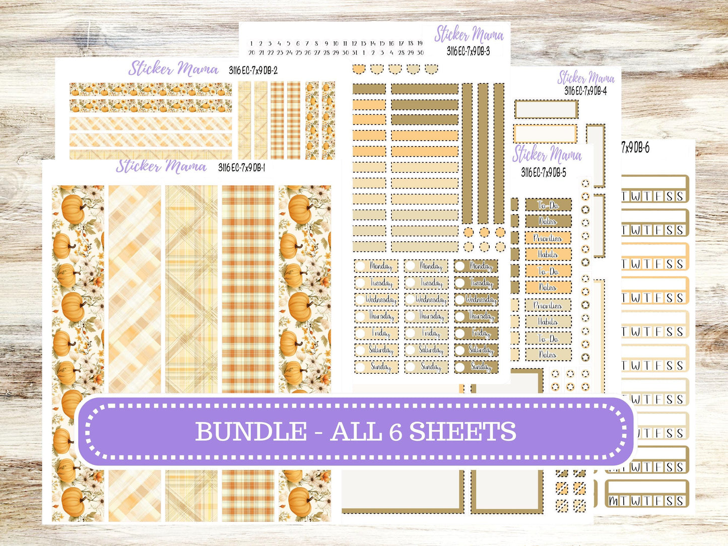 Erin Condren Dashboard Planner Kit DB | 3116 Pumpkin Spice