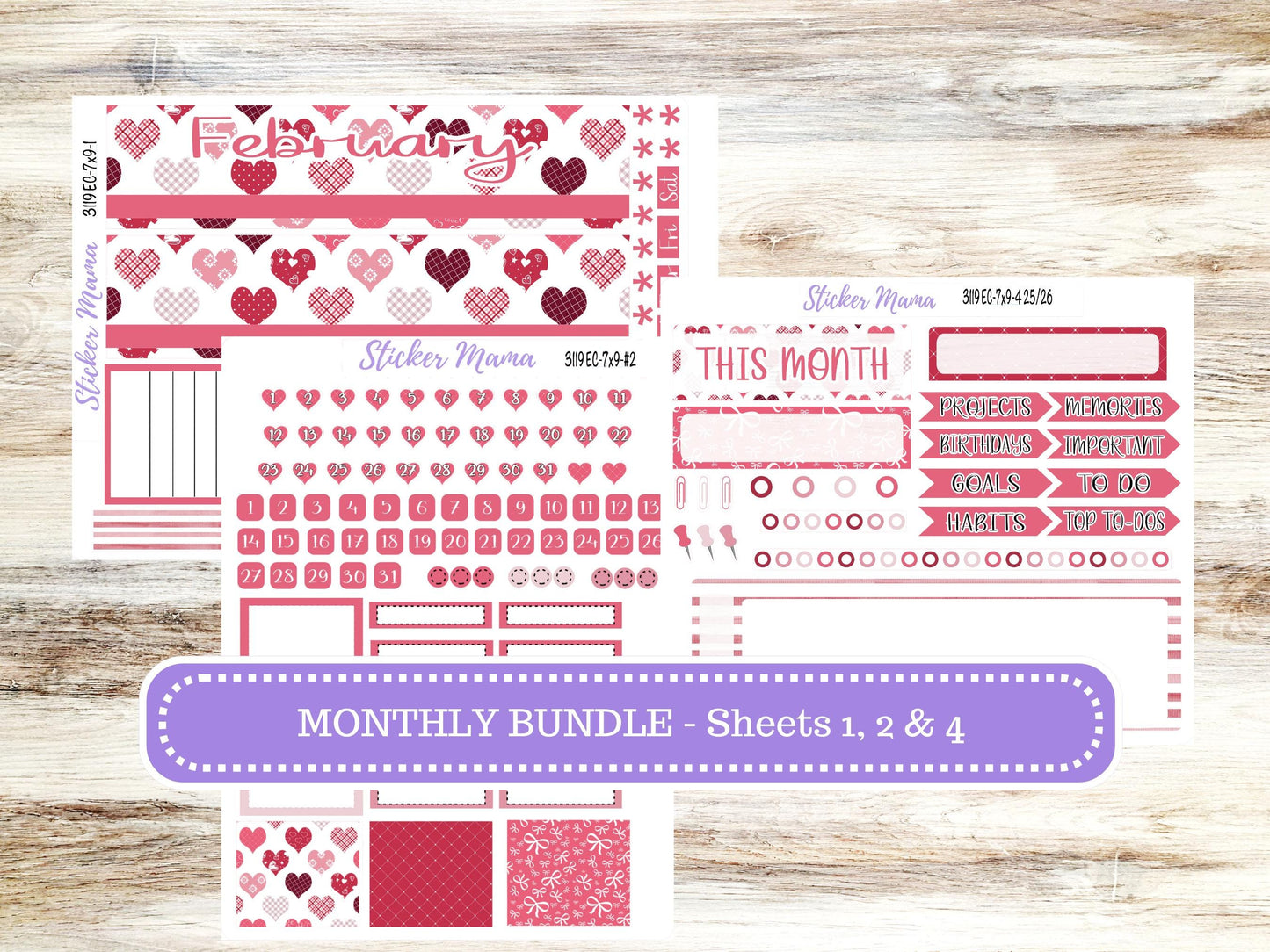 ERIN CONDREN Monthly Kit-3119 || 7X9 ||  - 7x9 ec FEBRUARY Monthly Kit - February Monthly Planner Kits -  Monthly Pages || 10-25