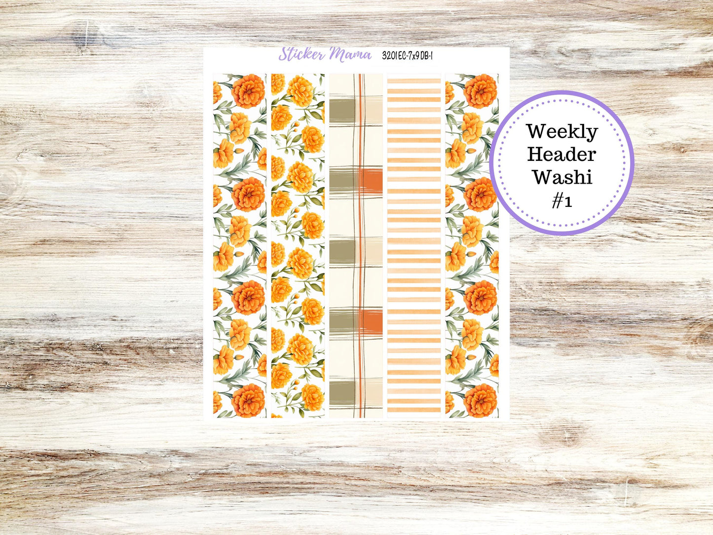 Erin Condren Dashboard Planner Sticker | Kit DB-3201 Fall Colors