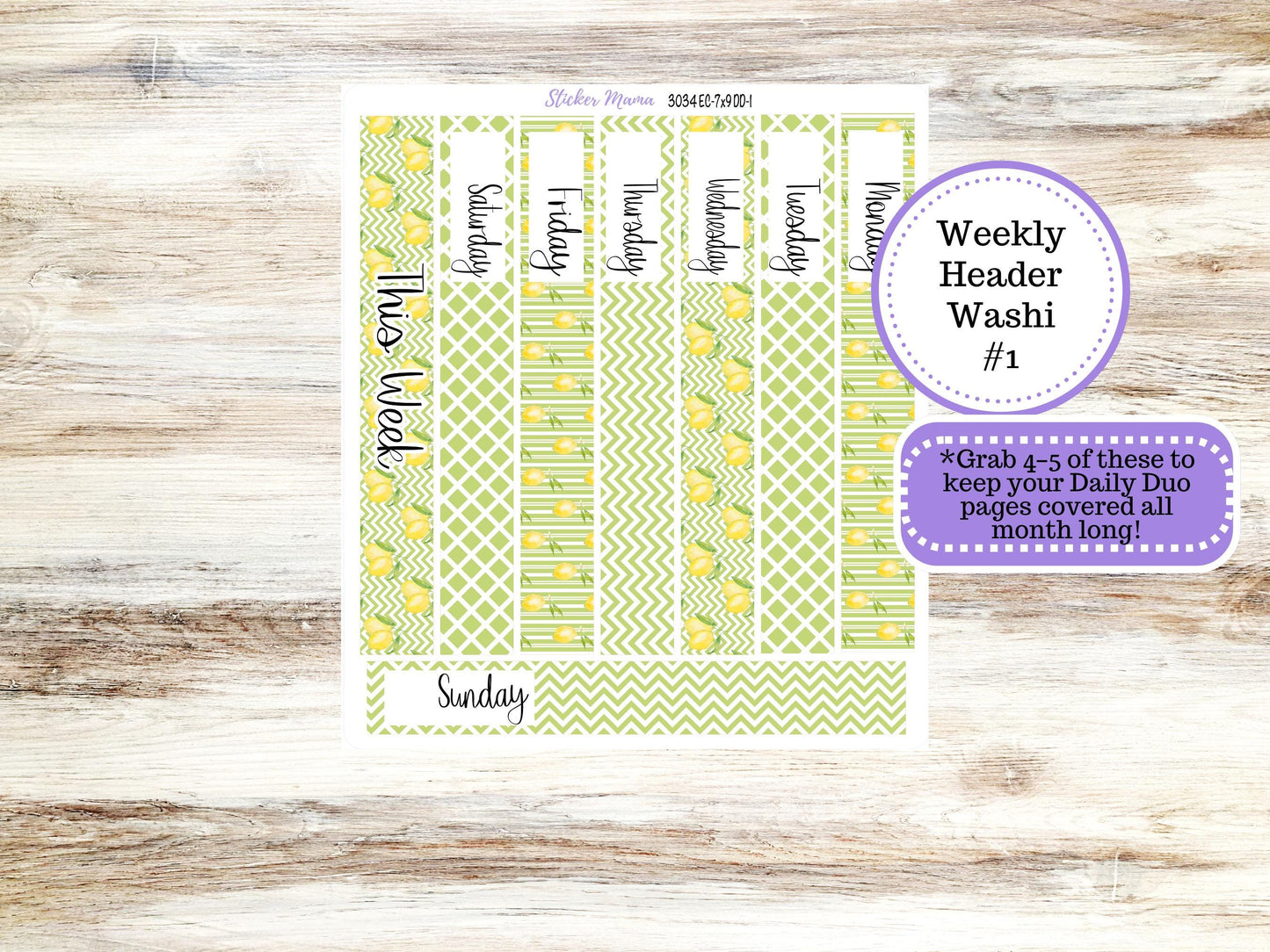 ERIN CONDREN Daily Duo Planner Kit DD-3034 || Fresh Squeeze || Daily Duo Planner Sticker Kit || Erin Condren ||