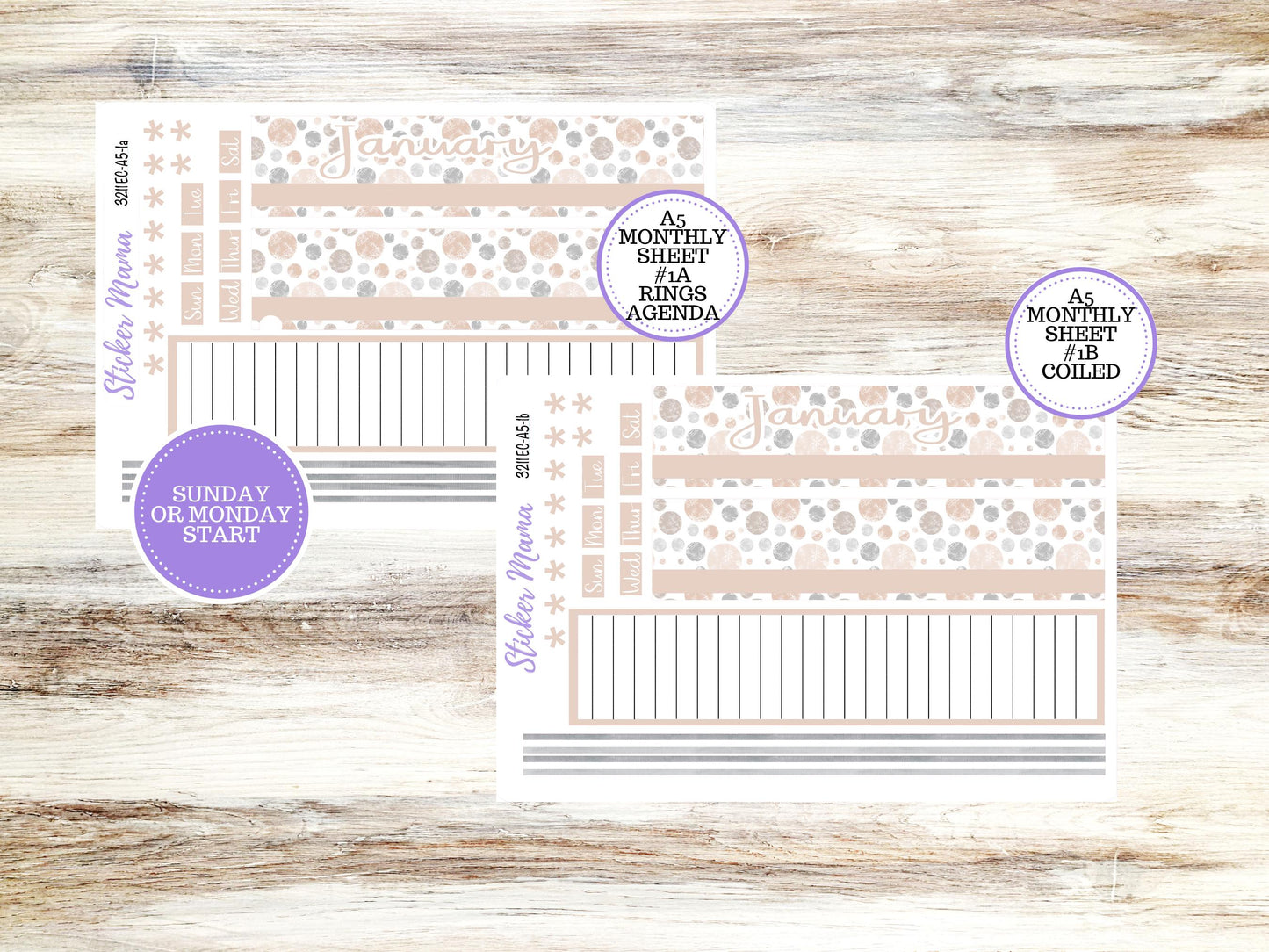 ERIN CONDRE Monthly Kit-3211 || A5 || Patel Wonderland Stickers  || - ec January Monthly Kit - Monthly Planner Kits - Monthly Budget