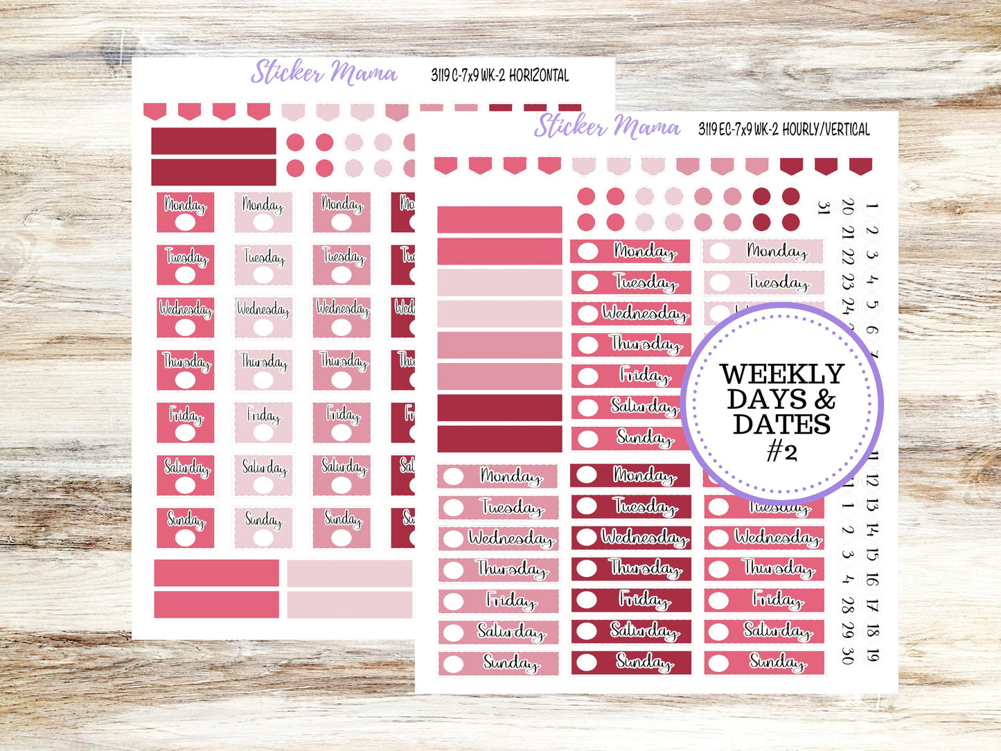 ERIN CONDREN Weekly Planner Kit WK-3119 || February || Weekly Planner Sticker Kit || Erin Condren || 10-25