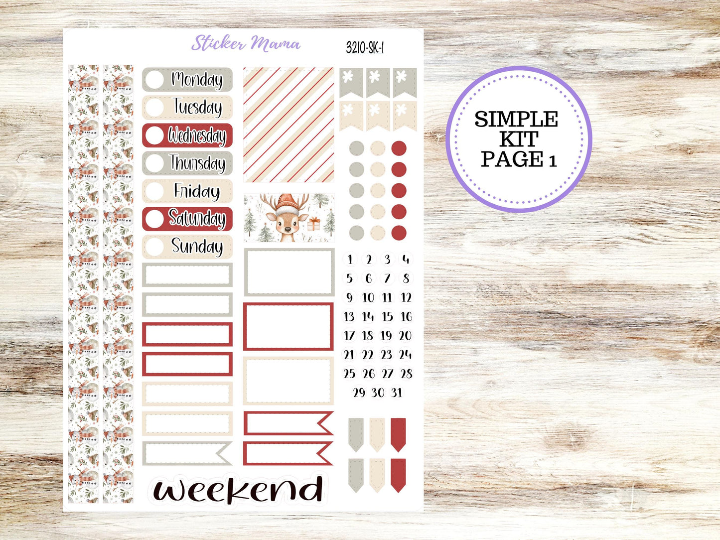 SIMPLE KIT  || #3210 || Frosty Friends || Any Kind Planner || Planner Stickers || Planner Stickers