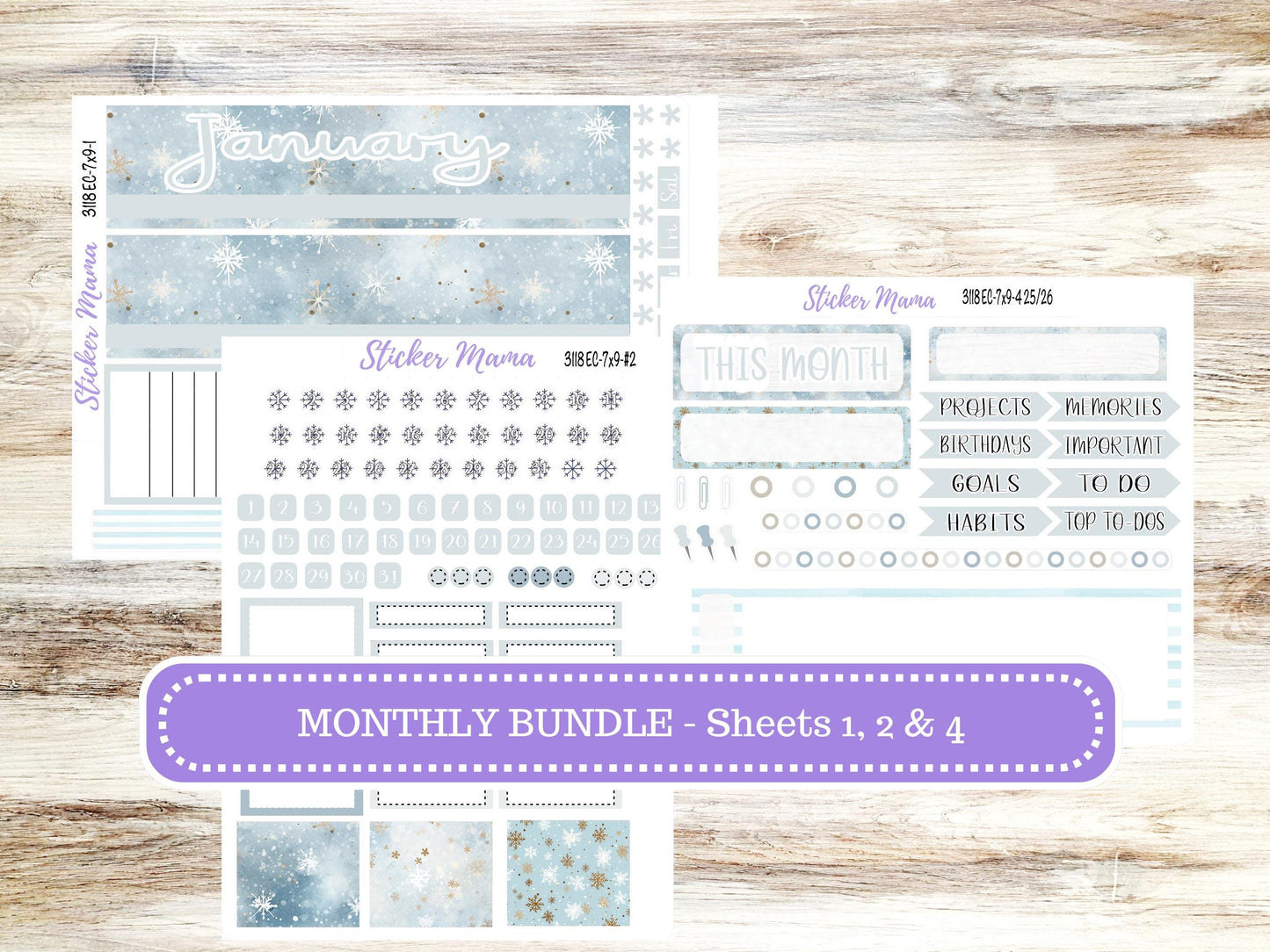 ERIN CONDREN Monthly Kit-3118 || 7X9 ||  - 7x9 ec January Monthly Kit - January Monthly Planner Kits -  Monthly Pages || 10-25
