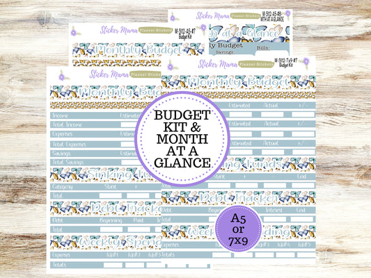 BUDGET - MONTH @ a GLANCE-3112 || A5 & 7x9 || Budget Sticker Kit || Notes Page Stickers || Planner Budget Kit